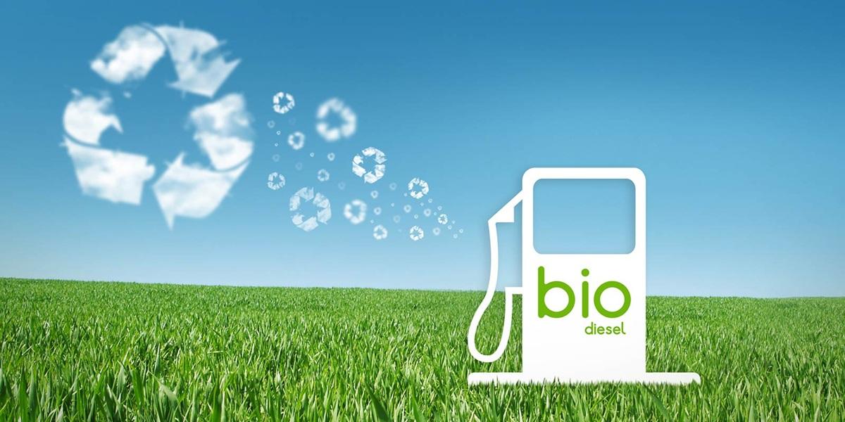 Lawan Uni Eropa Soal Impor Produk Biodiesel: Indonesia Menangkan Sengketa!